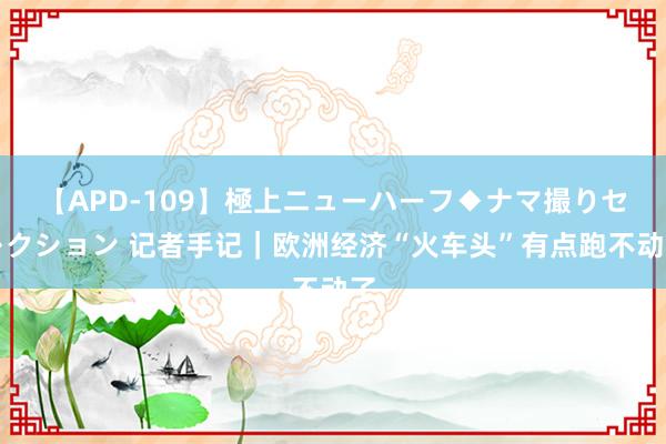 【APD-109】極上ニューハーフ◆ナマ撮りセレクション 记者手记｜欧洲经济“火车头”有点跑不动了