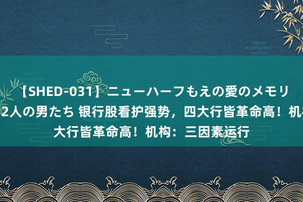 【SHED-031】ニューハーフもえの愛のメモリー 通り過ぎた12人の男たち 银行股看护强势，四大行皆革命高！机构：三因素运行