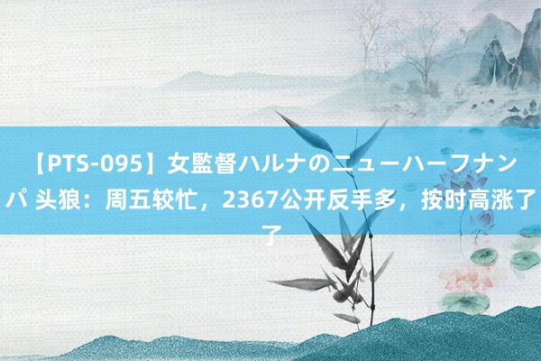 【PTS-095】女監督ハルナのニューハーフナンパ 头狼：周五较忙，2367公开反手多，按时高涨了