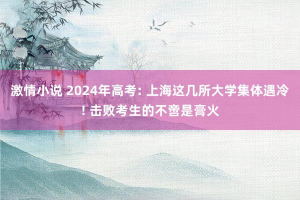 激情小说 2024年高考: 上海这几所大学集体遇冷! 击败考生的不啻是膏火