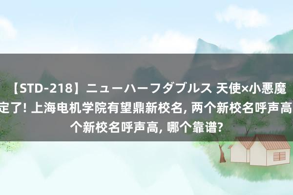 【STD-218】ニューハーフダブルス 天使×小悪魔 沙織 もえ 定了! 上海电机学院有望鼎新校名， 两个新校名呼声高， 哪个靠谱?