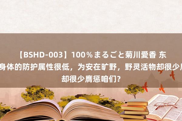 【BSHD-003】100％まるごと菊川愛香 东说念主类身体的防护属性很低，为安在旷野，野灵活物却很少膺惩咱们？