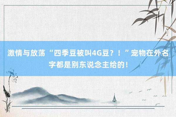 激情与放荡 “四季豆被叫4G豆？！”宠物在外名字都是别东说念主给的！