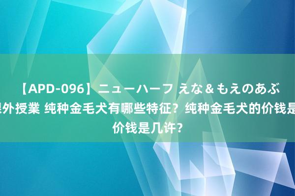 【APD-096】ニューハーフ えな＆もえのあぶない課外授業 纯种金毛犬有哪些特征？纯种金毛犬的价钱是几许？