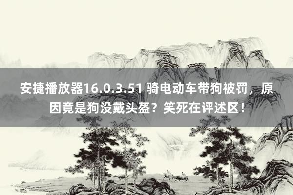 安捷播放器16.0.3.51 骑电动车带狗被罚，原因竟是狗没戴头盔？笑死在评述区！