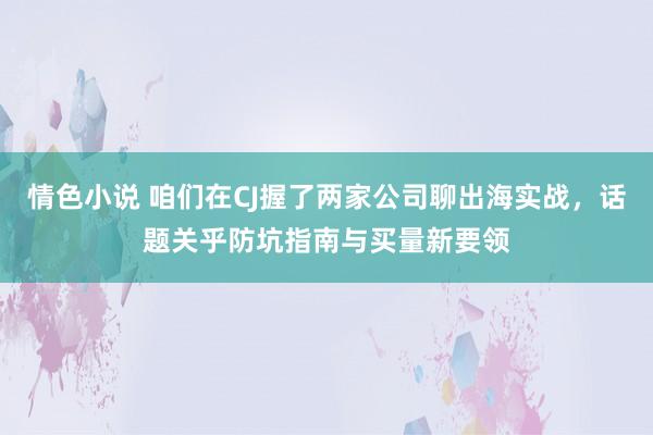 情色小说 咱们在CJ握了两家公司聊出海实战，话题关乎防坑指南与买量新要领