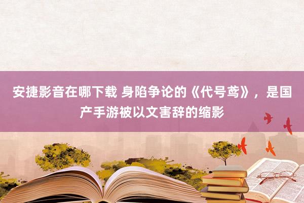 安捷影音在哪下载 身陷争论的《代号鸢》，是国产手游被以文害辞的缩影