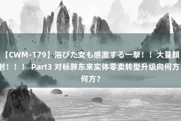 【CWM-179】浴びた女も感激する一撃！！大量顔射！！！ Part3 对标胖东来实体零卖转型升级向何方？