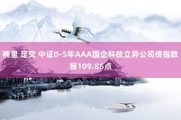 楠里 足交 中证0-5年AAA国企科技立异公司债指数报109.86点