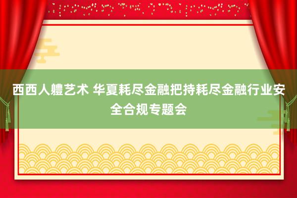 西西人軆艺术 华夏耗尽金融把持耗尽金融行业安全合规专题会