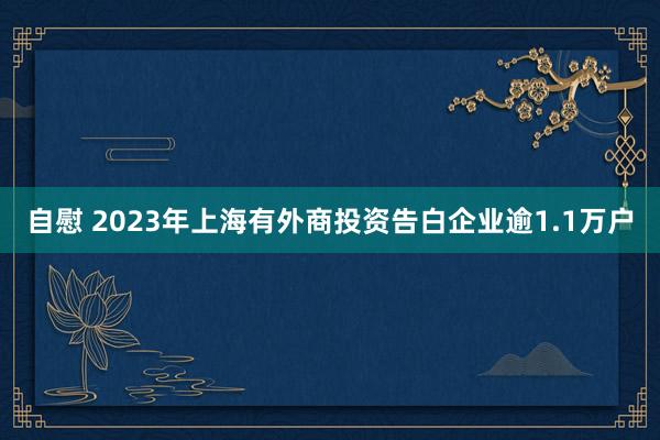 自慰 2023年上海有外商投资告白企业逾1.1万户