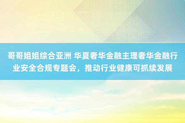 哥哥姐姐综合亚洲 华夏奢华金融主理奢华金融行业安全合规专题会，推动行业健康可抓续发展