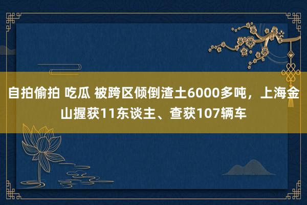 自拍偷拍 吃瓜 被跨区倾倒渣土6000多吨，上海金山握获11东谈主、查获107辆车