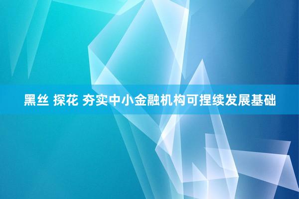 黑丝 探花 夯实中小金融机构可捏续发展基础