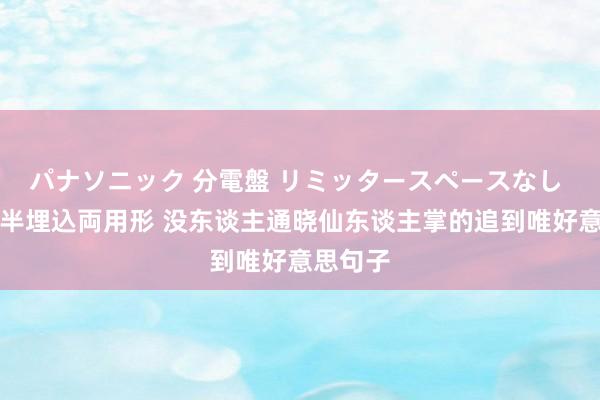 パナソニック 分電盤 リミッタースペースなし 露出・半埋込両用形 没东谈主通晓仙东谈主掌的追到唯好意思句子