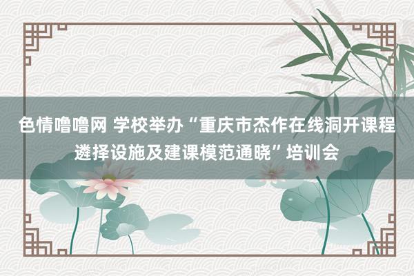 色情噜噜网 学校举办“重庆市杰作在线洞开课程遴择设施及建课模范通晓”培训会